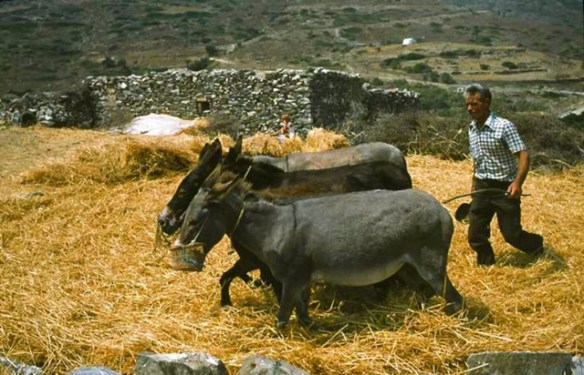 Munca câmpului în Eglouvi